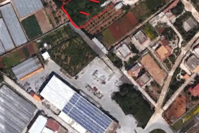 insertion image