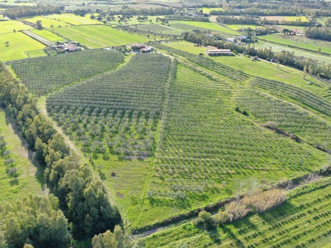 immagine annuncio 2 di 6