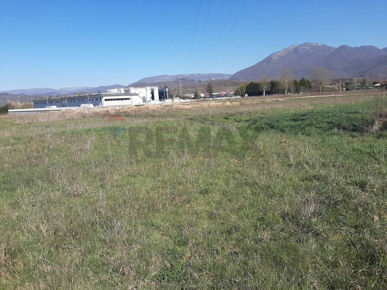 immagine annuncio 4 di 6