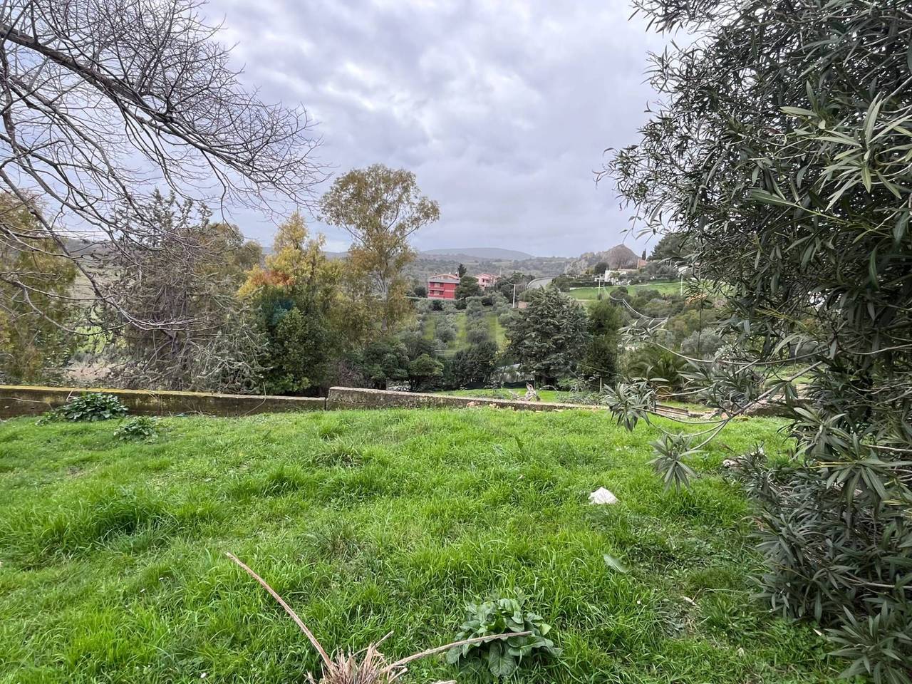 immagine annuncio 4 di 13