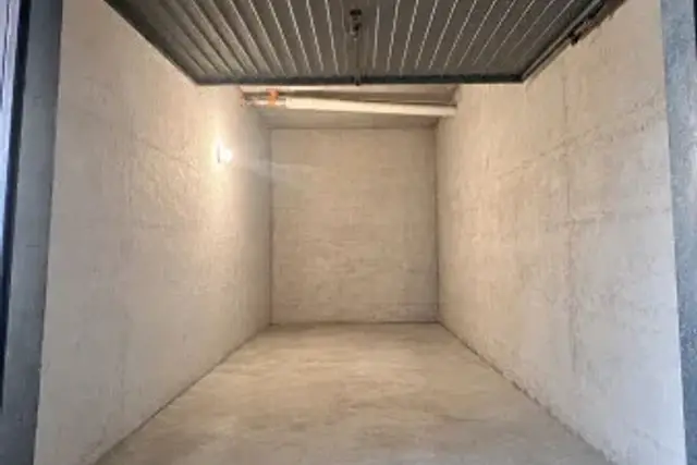 insertion image