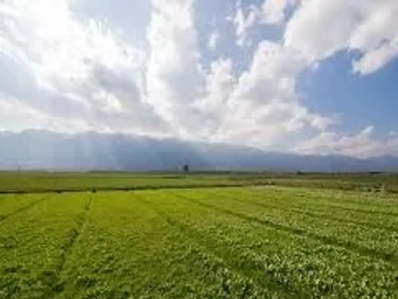 Terreno agricolo in Via Caresin, Arzergrande - Planimetria 1