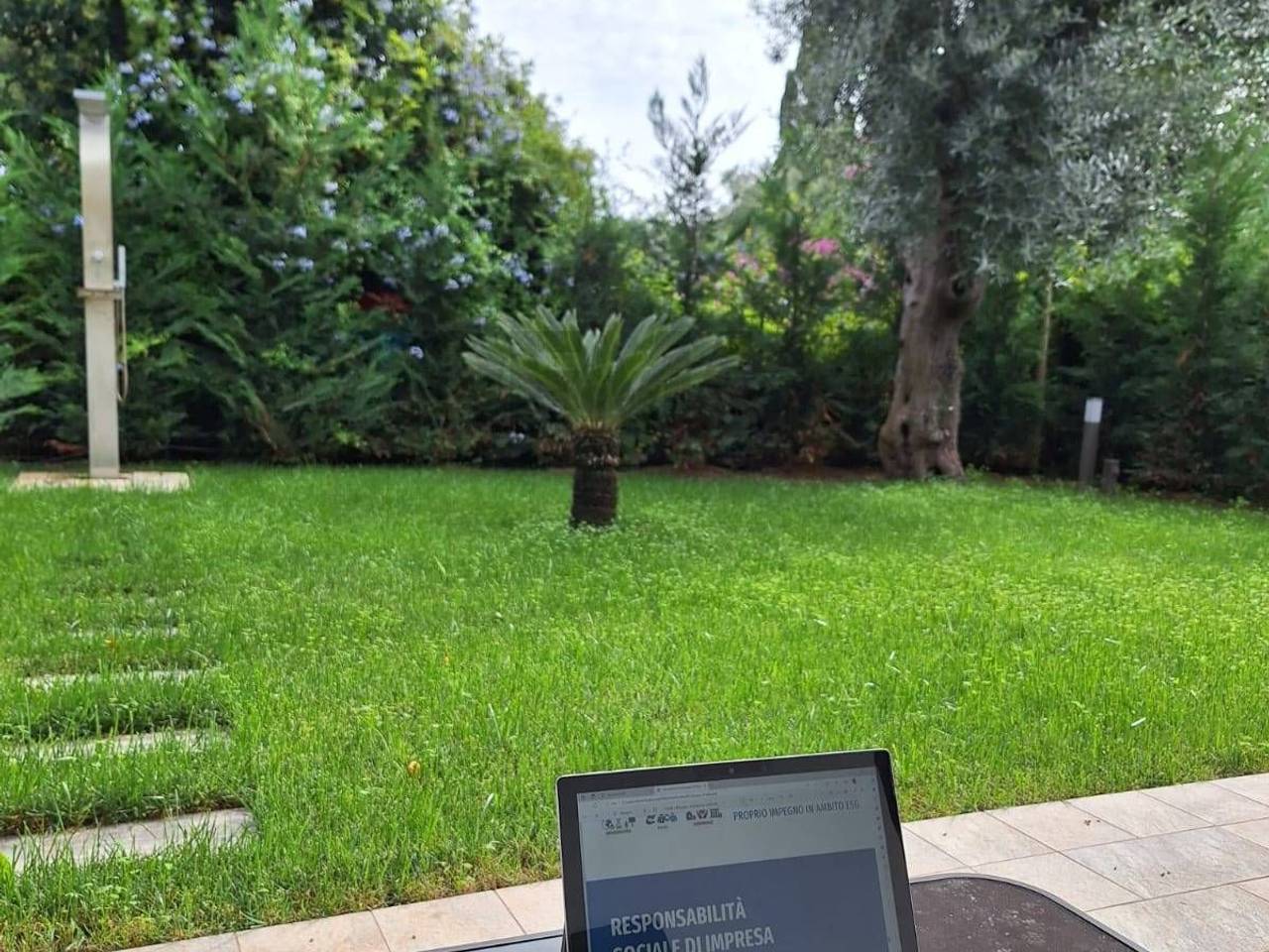 immagine annuncio 12 di 14