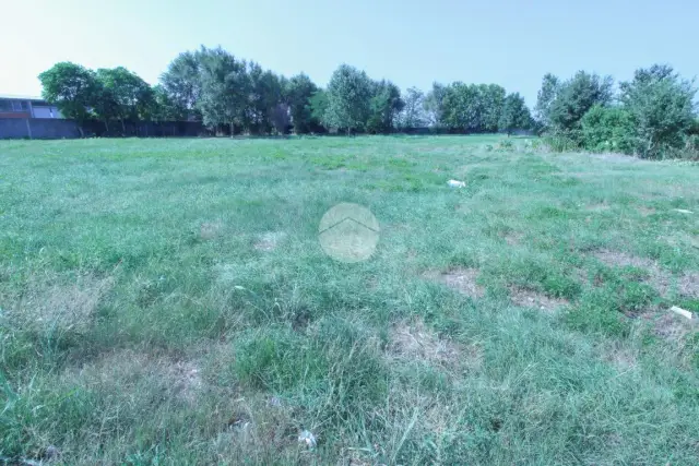 insertion image