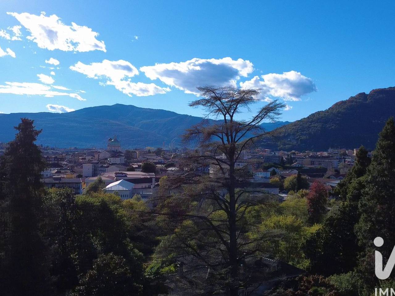 immagine annuncio 4 di 7