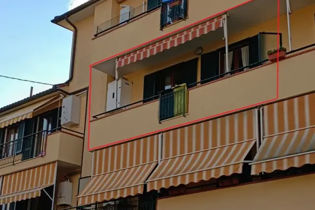 insertion image