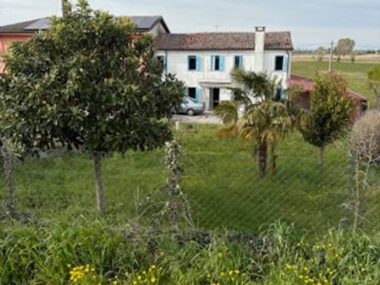 immagine annuncio 5 di 12