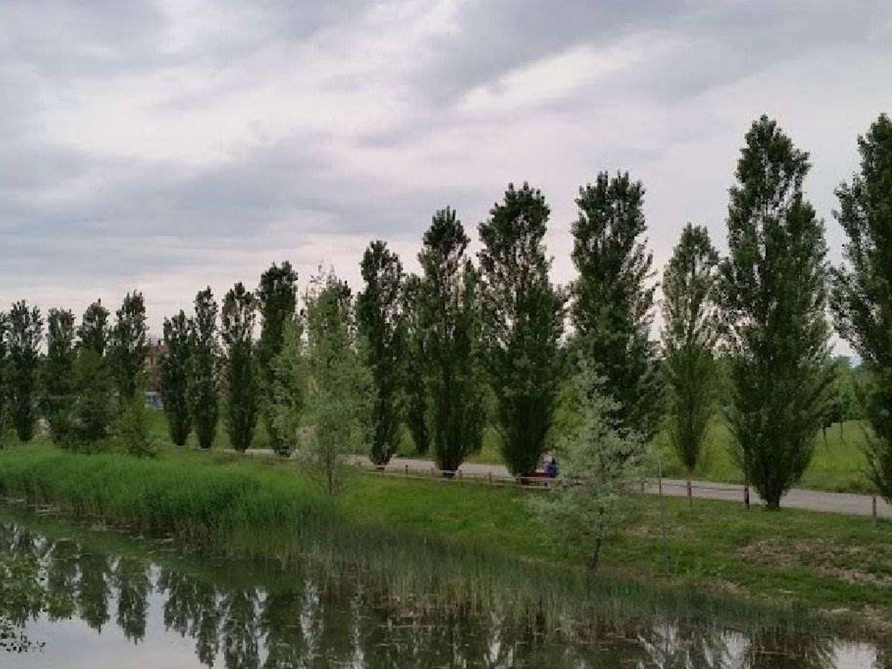 immagine annuncio 5 di 8