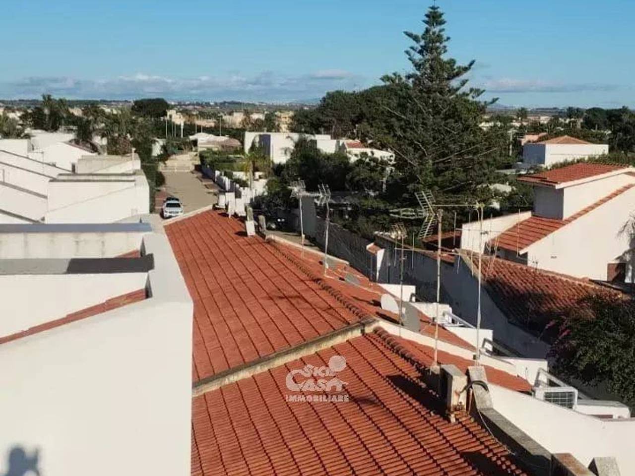 immagine annuncio 3 di 11