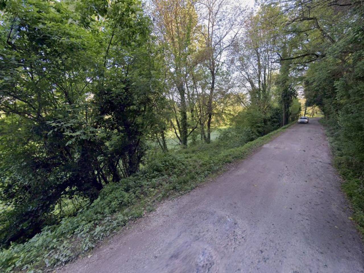 immagine annuncio 7 di 13