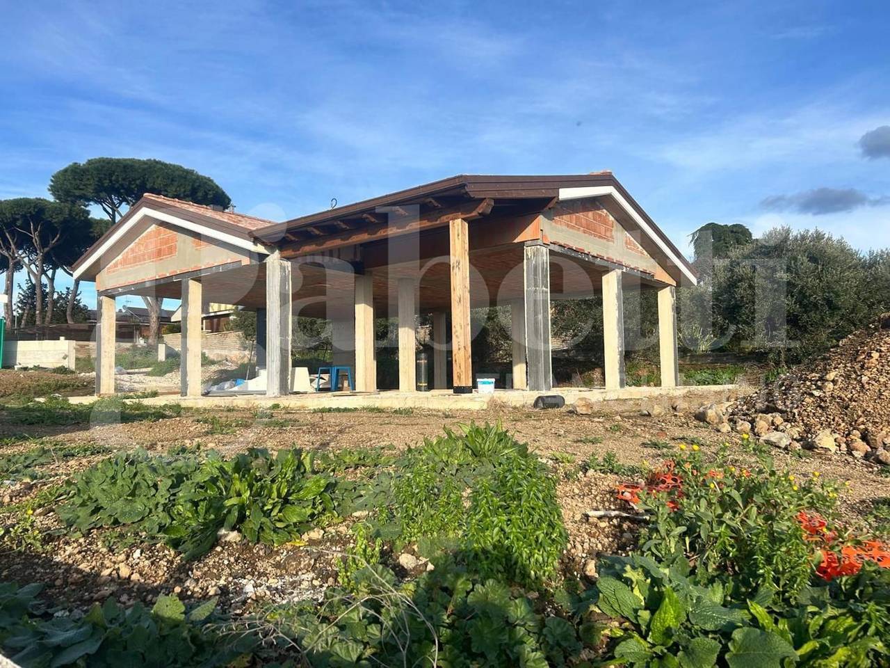 immagine annuncio 2 di 12