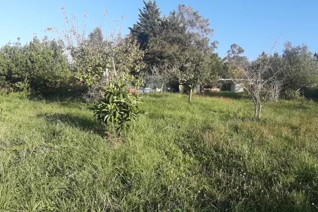 Agricultural land in Via delle Gore  73, Livorno - Photo 1