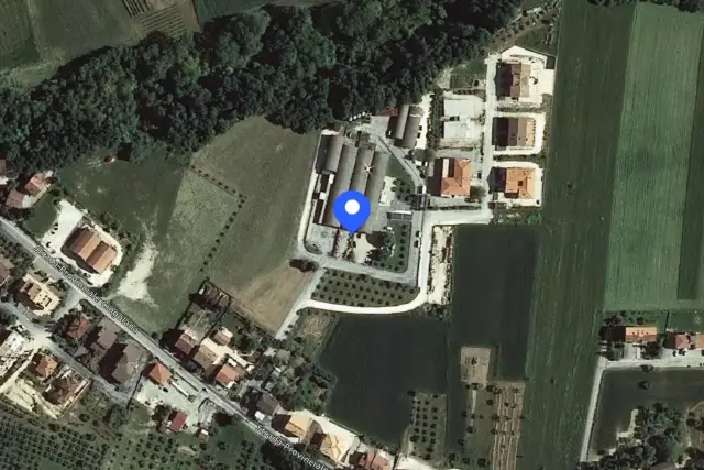 insertion image
