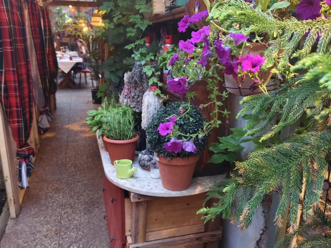 Ristorante in Piazza Tasso, Firenze, {3} - Foto 2