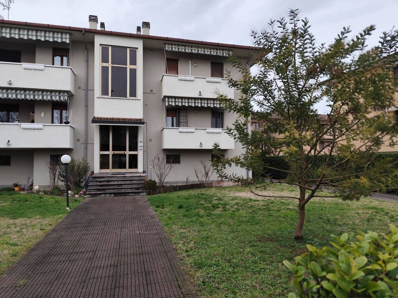 immagine annuncio 1 di 14