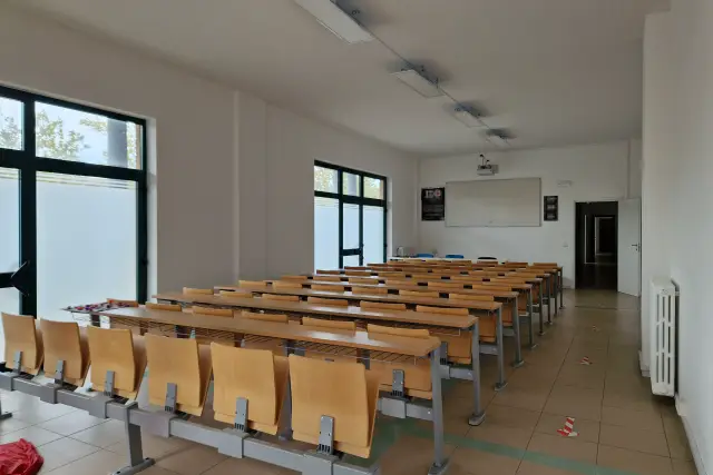insertion image