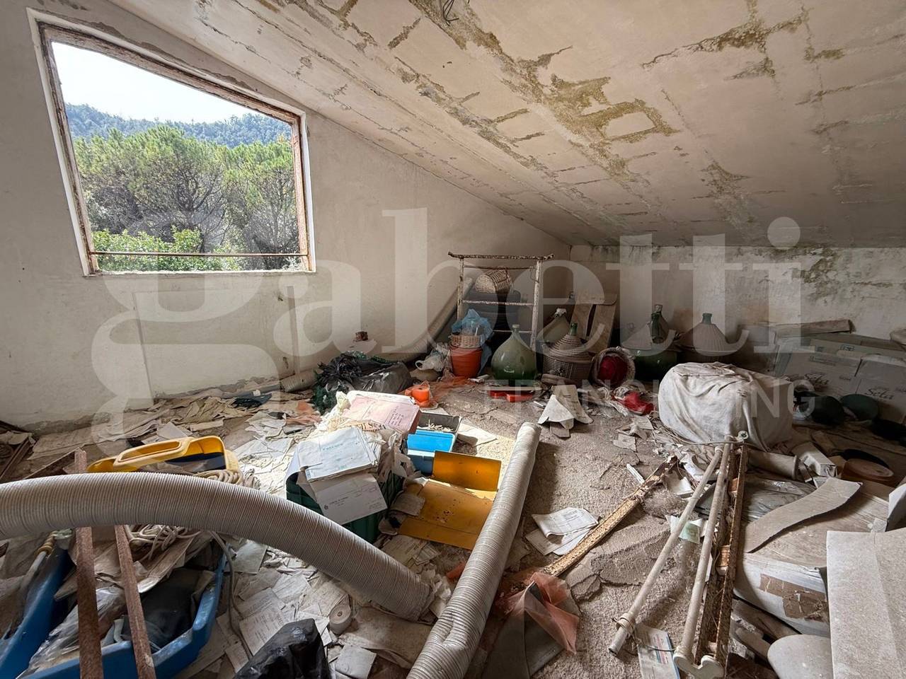 immagine annuncio 9 di 14