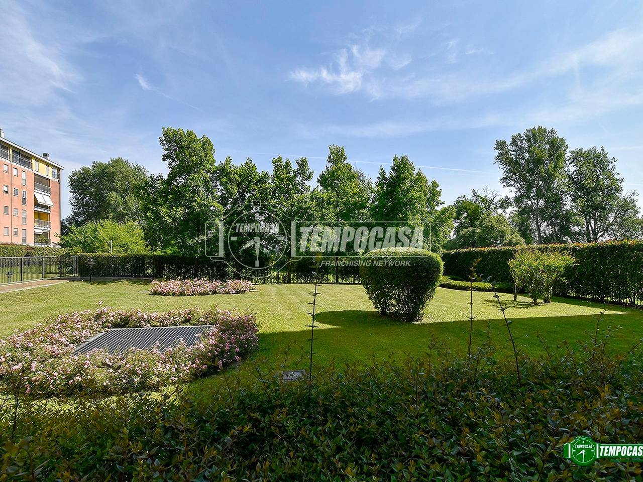 immagine annuncio 4 di 6