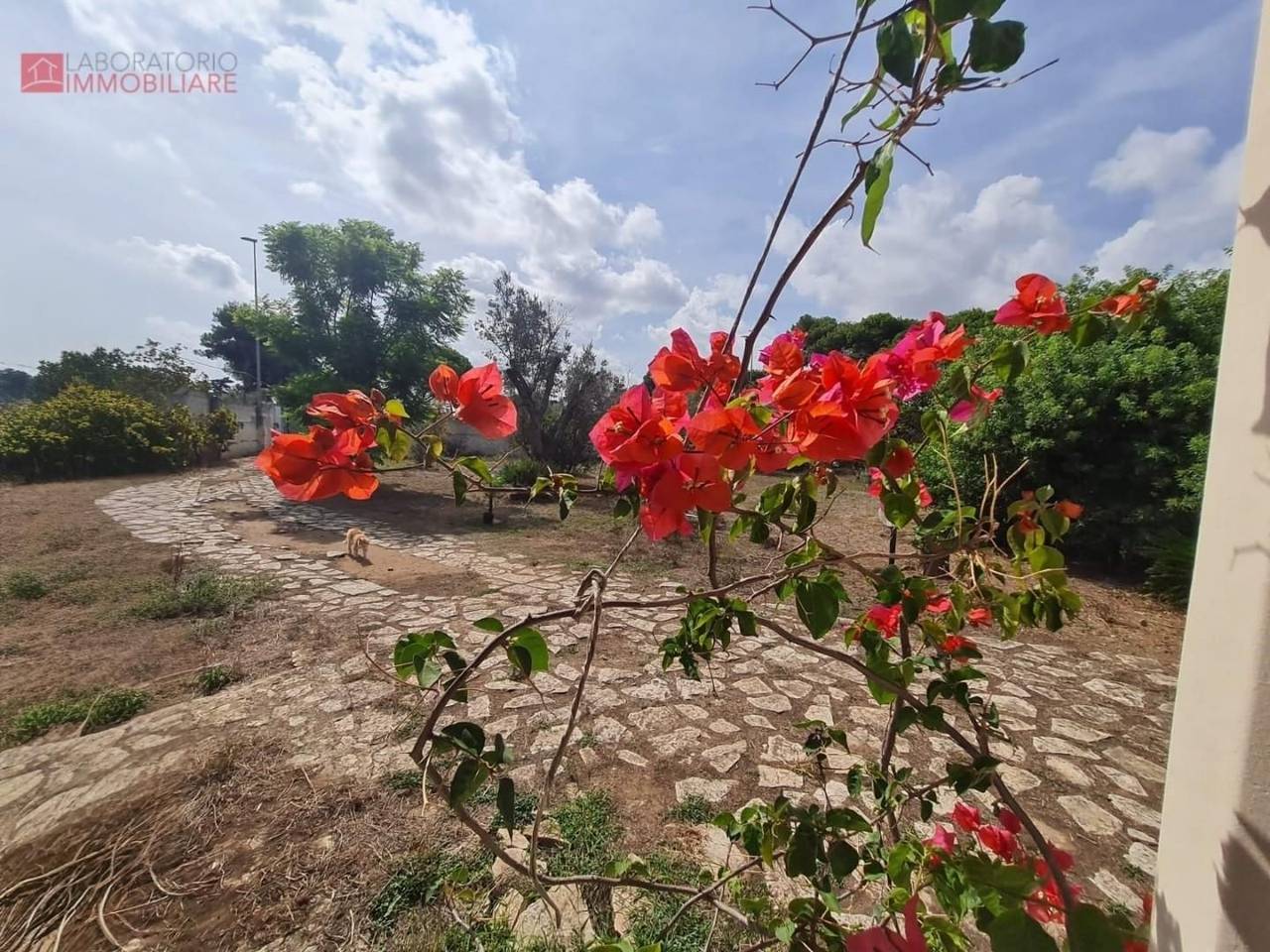 casa indipendente in vendita a Lecce in zona San Cataldo