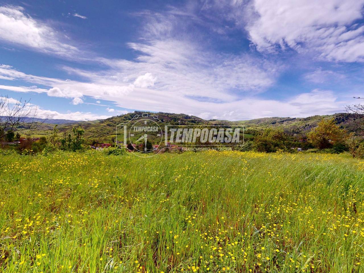 immagine annuncio 6 di 12