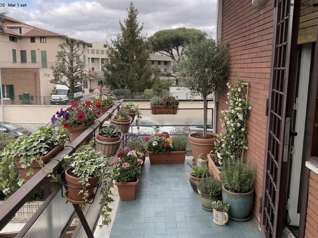 immagine annuncio 11 di 14