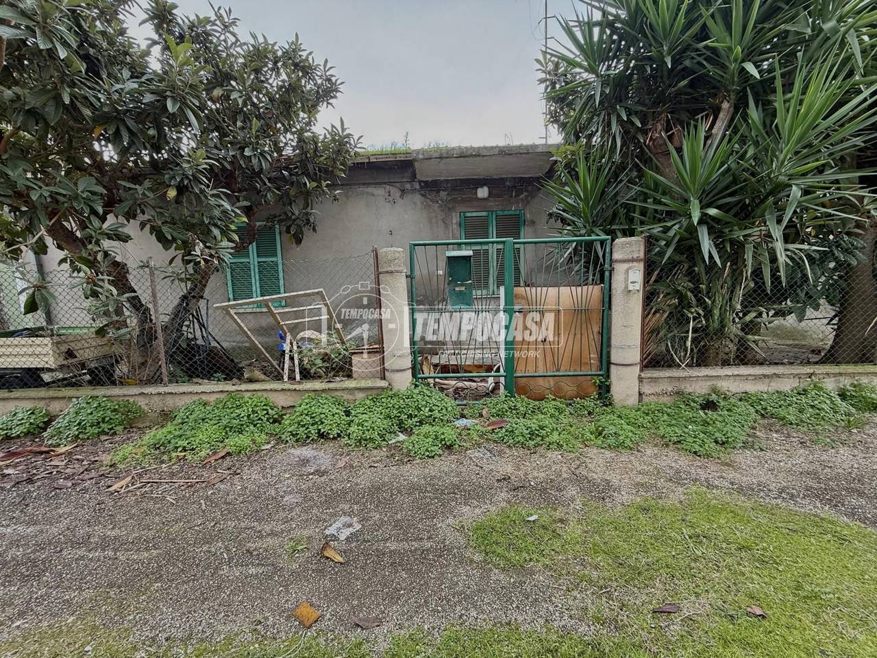 immagine annuncio 4 di 8