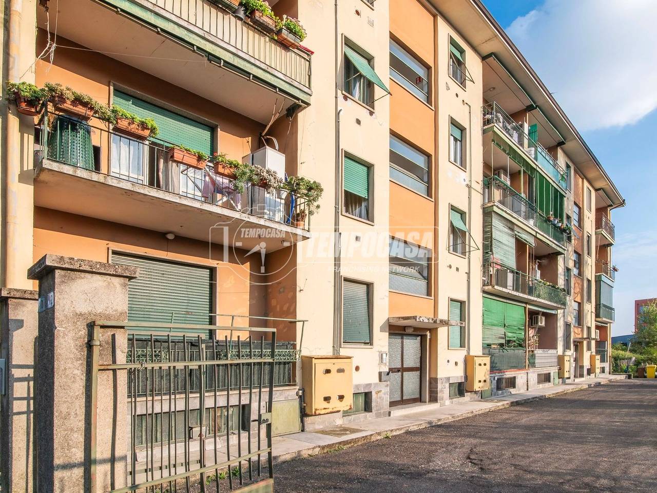 immagine annuncio 9 di 15