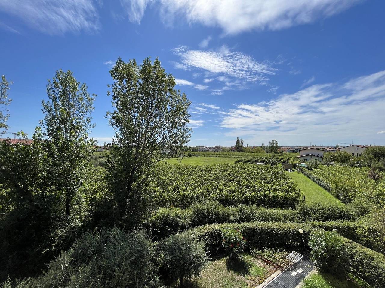 immagine annuncio 9 di 13