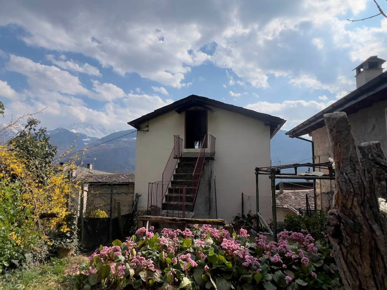 immagine annuncio 2 di 15