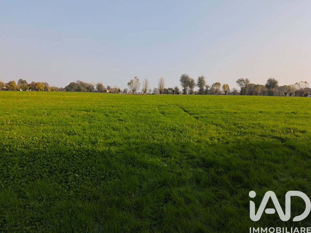 immagine annuncio 1 di 8