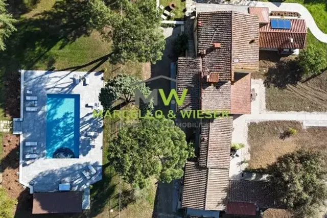 insertion image
