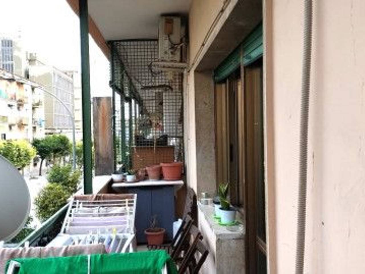 immagine annuncio 10 di 14