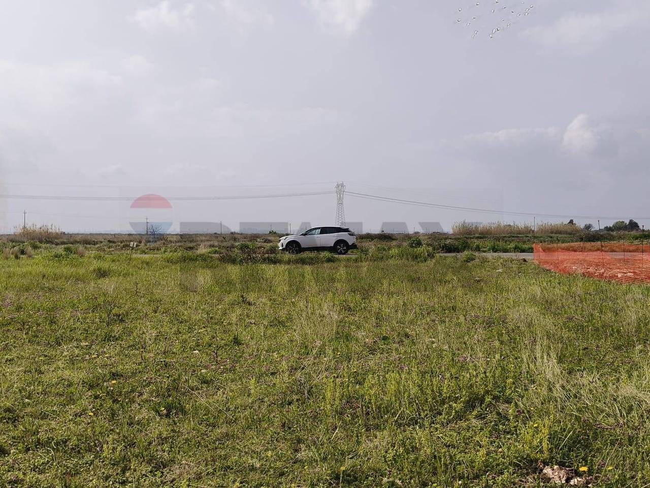 immagine annuncio 3 di 7