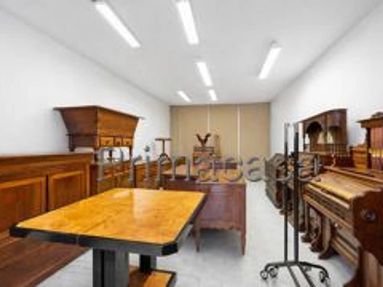 immagine annuncio 5 di 12