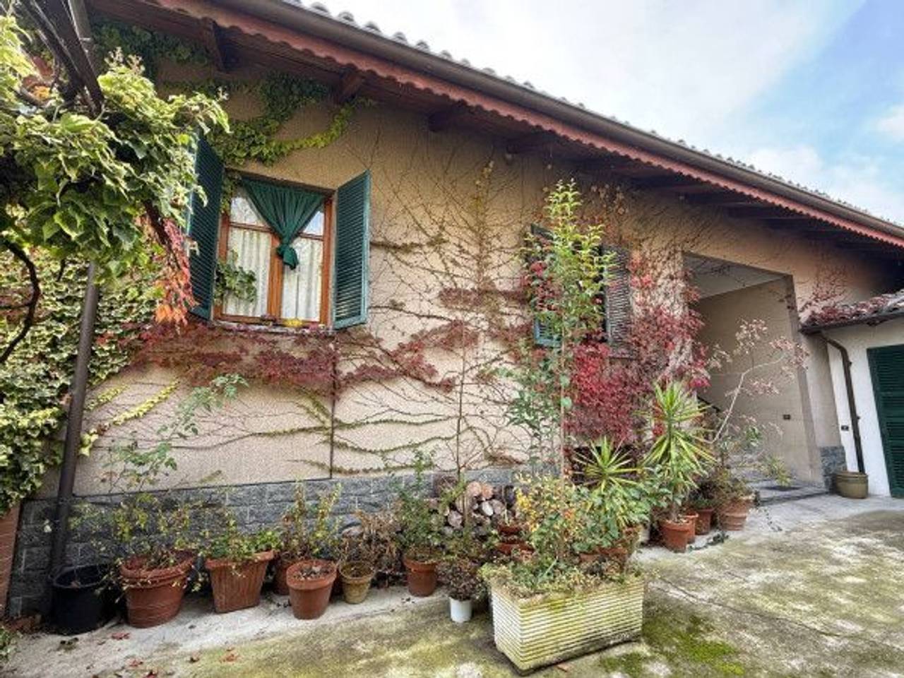 immagine annuncio 11 di 15