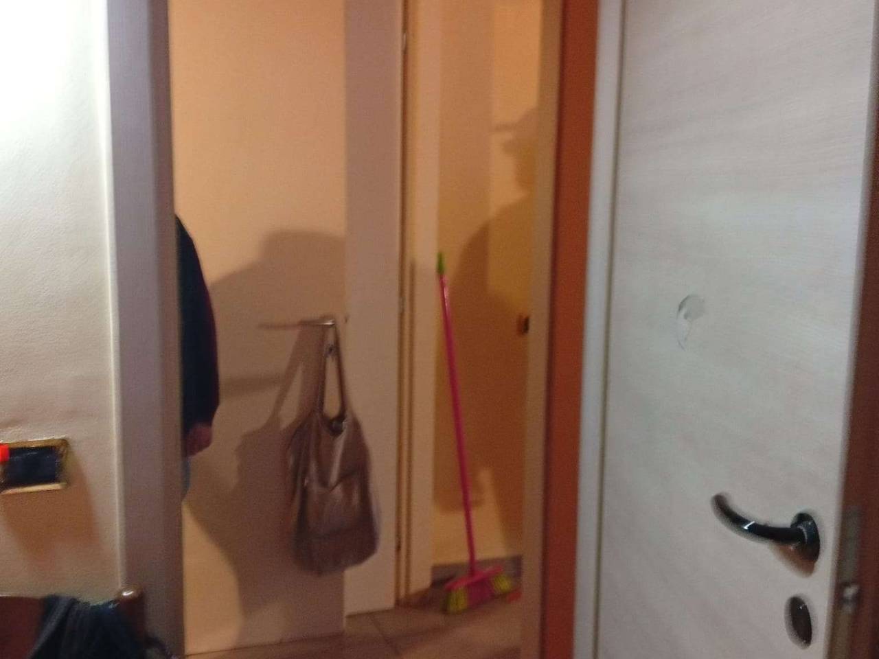 immagine annuncio 7 di 14