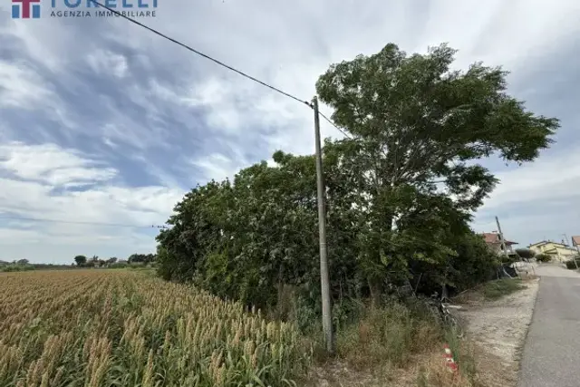 insertion image