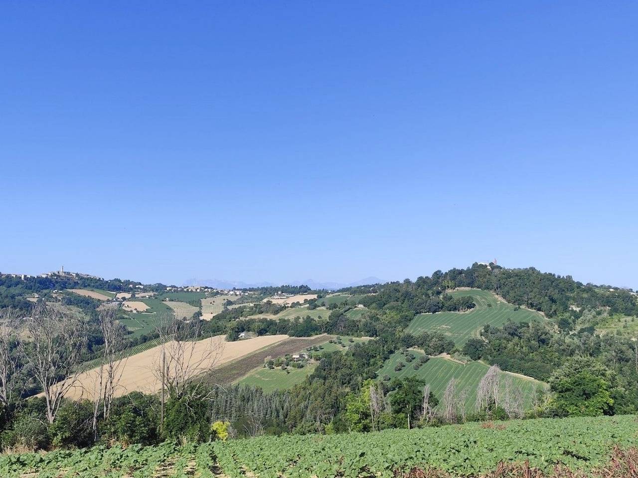 immagine annuncio 8 di 14