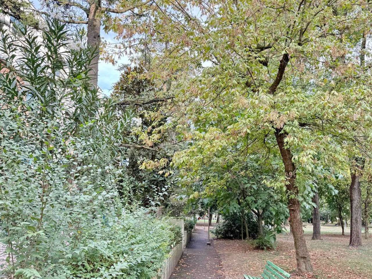 immagine annuncio 10 di 14