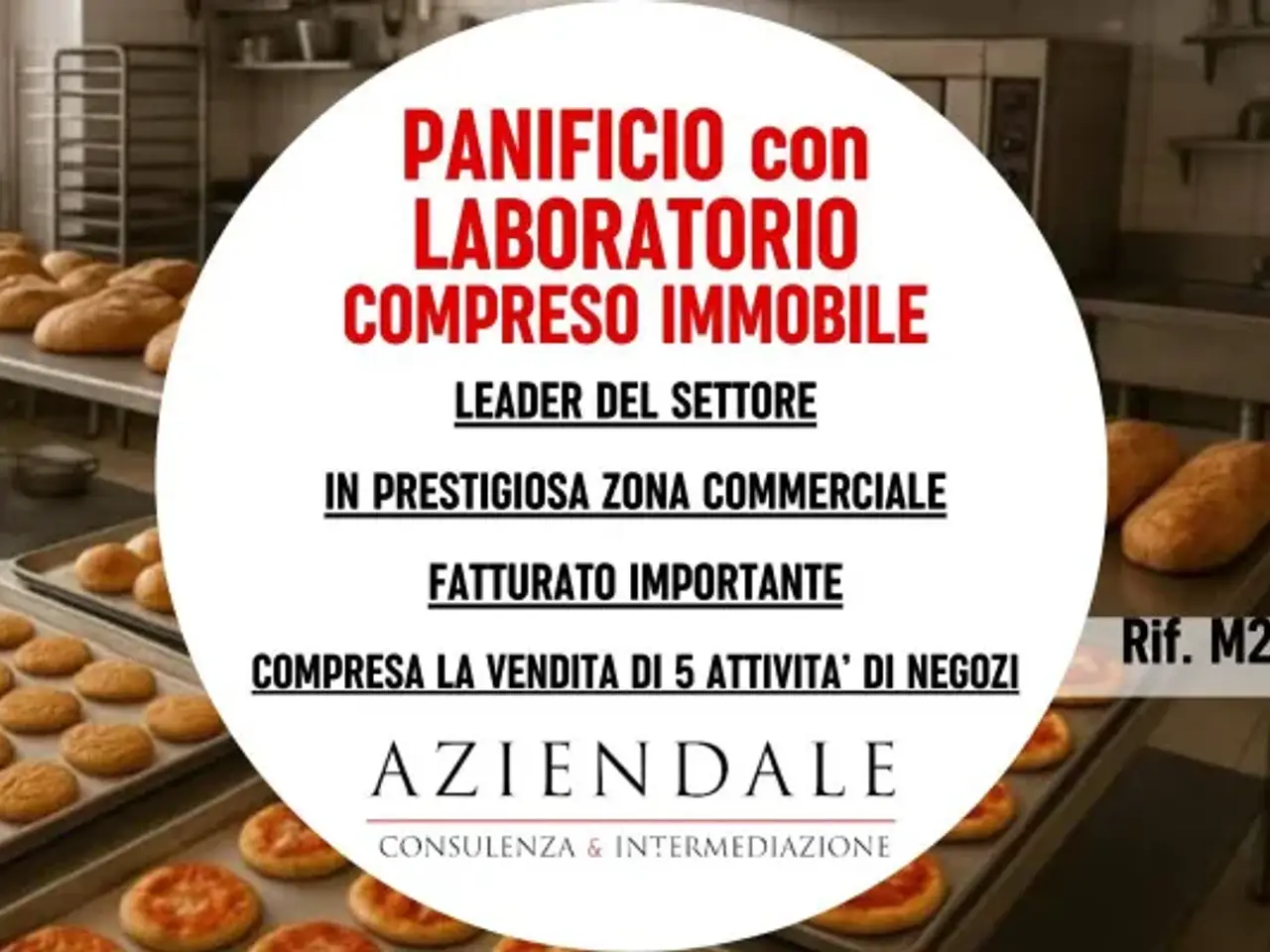 Panificio in Stradone Porta Palio 74/B, Verona, {3} - Foto 1