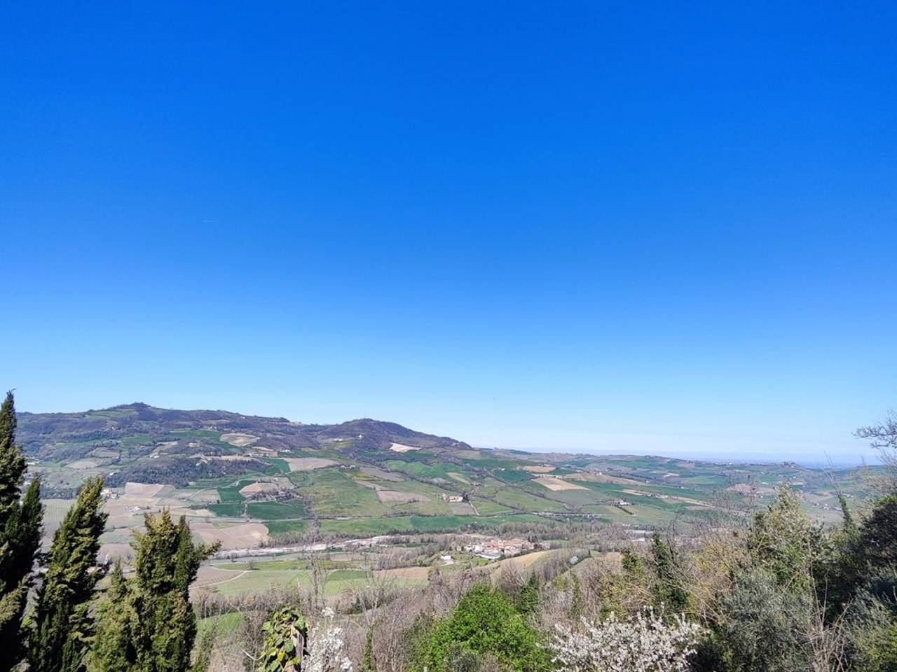 immagine annuncio 4 di 12
