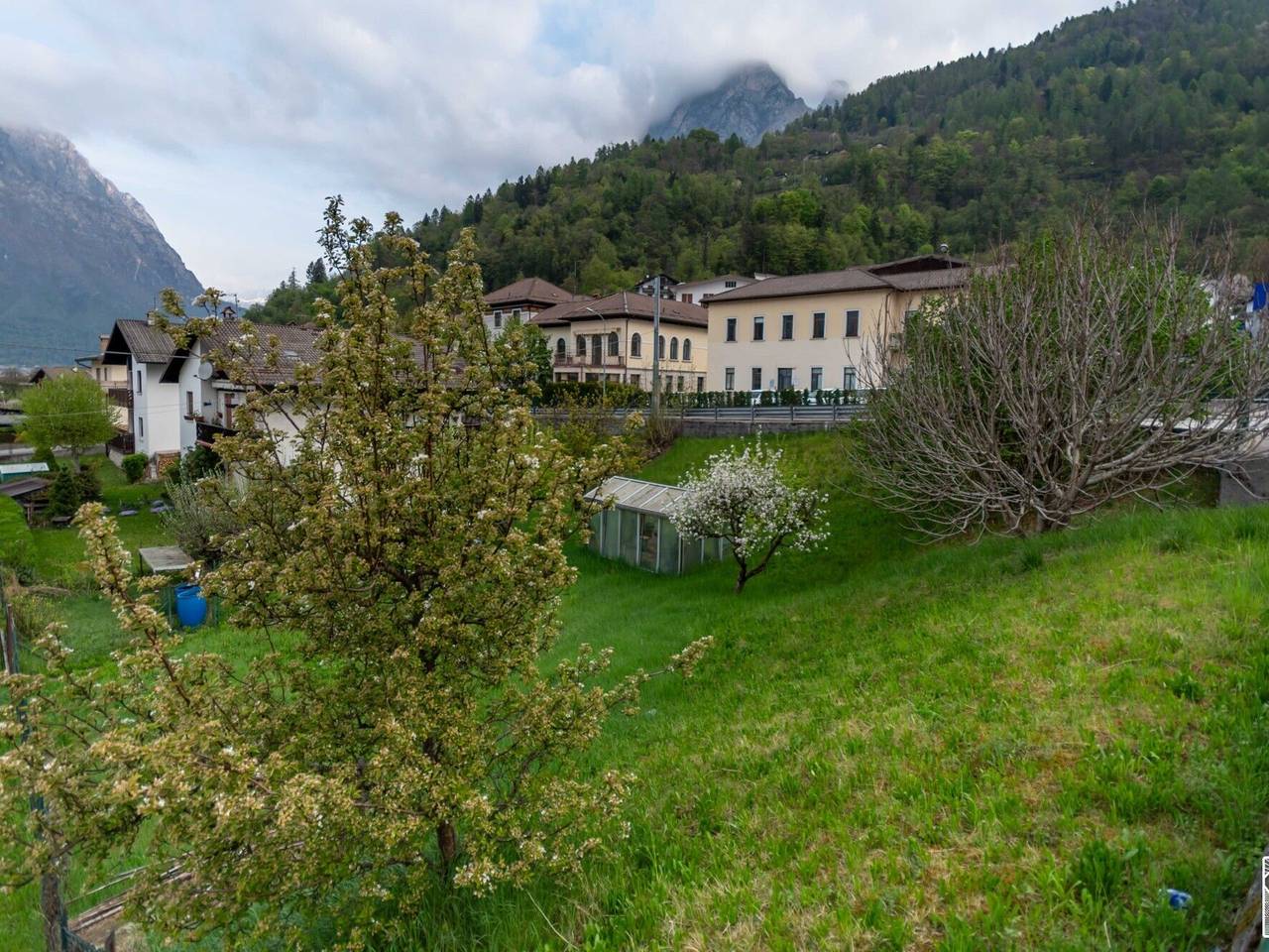 immagine annuncio 5 di 14