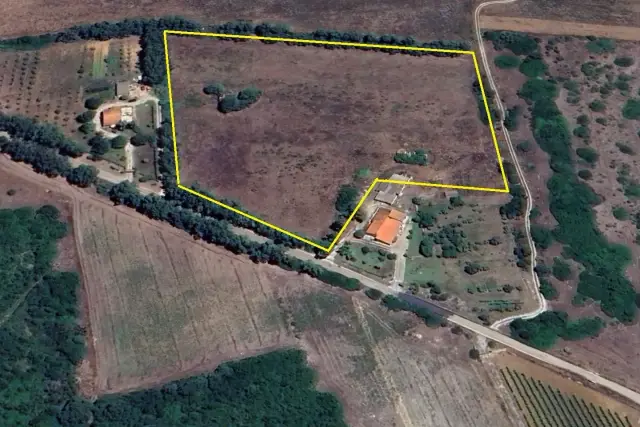 insertion image