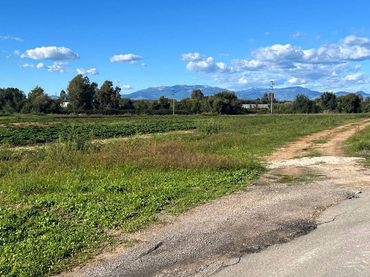 immagine annuncio 5 di 7