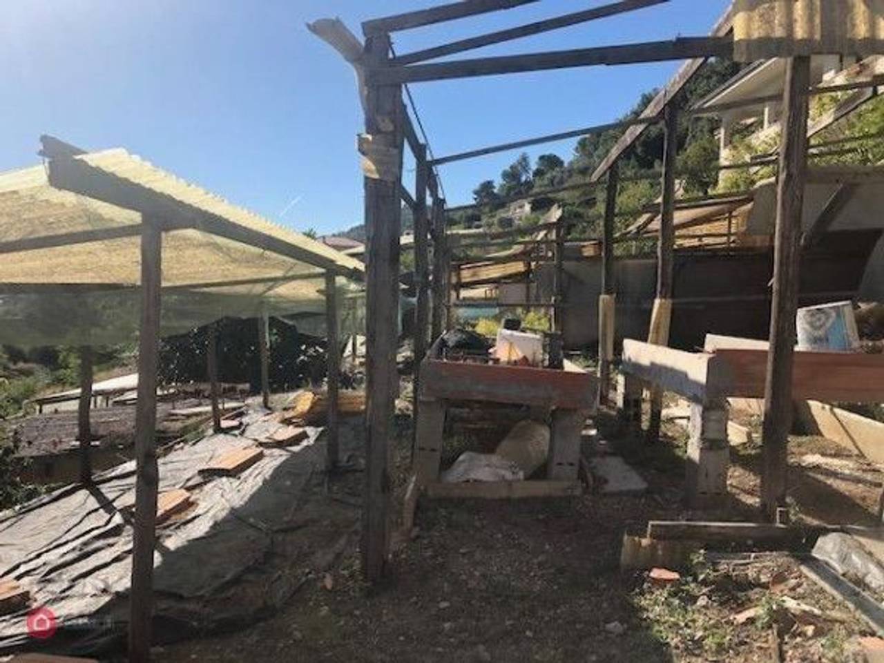 immagine annuncio 1 di 2