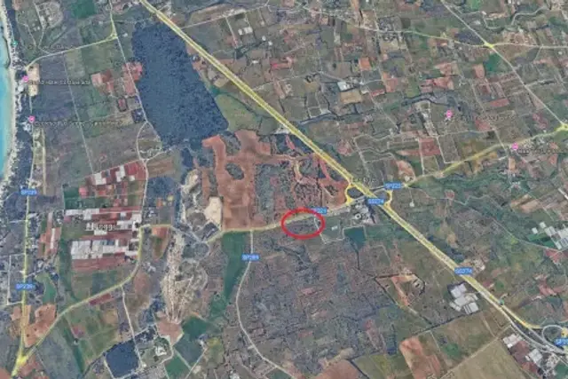 insertion image