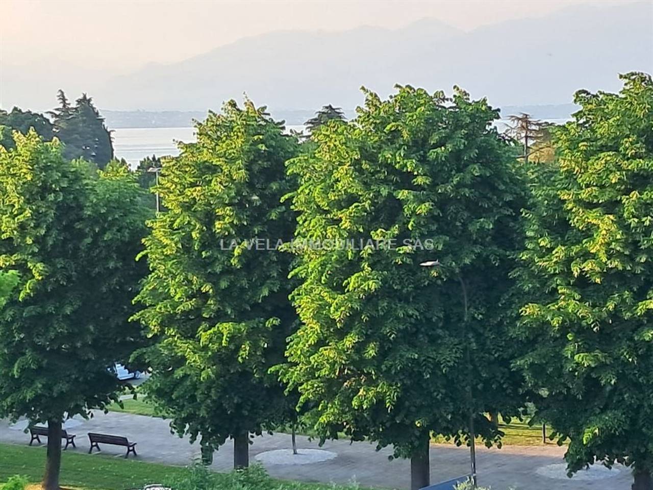 immagine annuncio 5 di 8