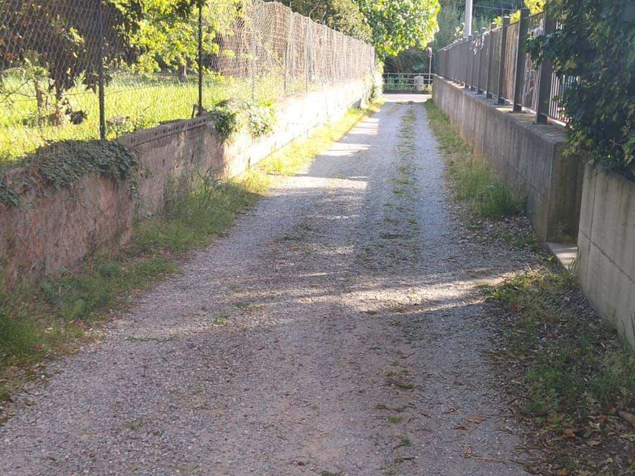 immagine annuncio 7 di 8