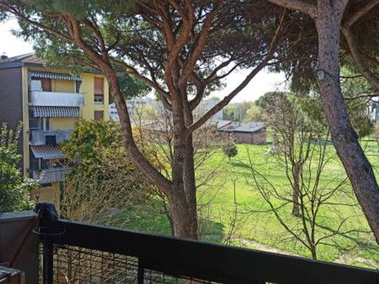 immagine annuncio 1 di 11