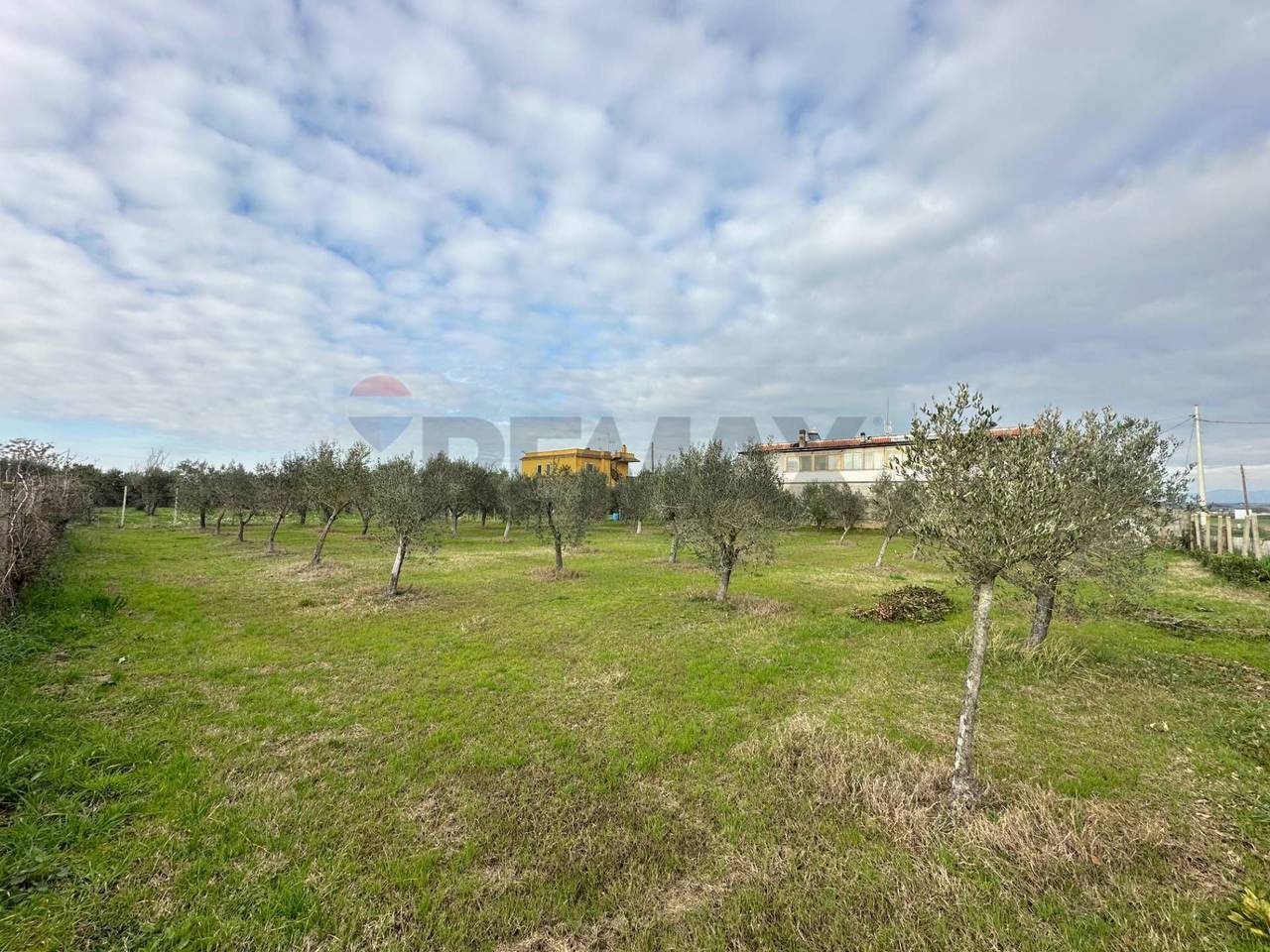 immagine annuncio 5 di 7